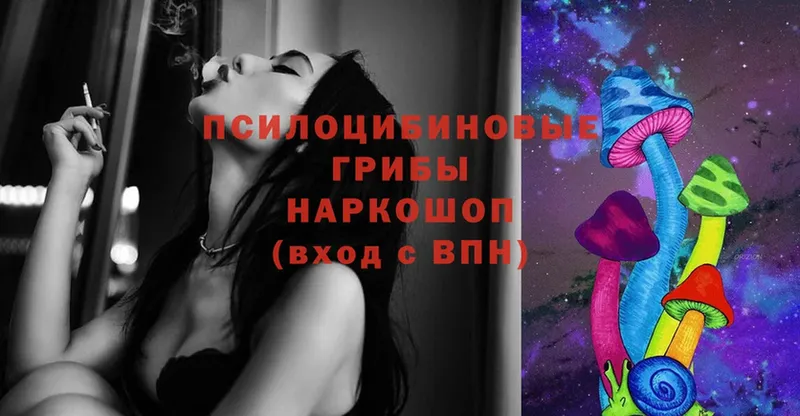 shop наркотические препараты  Ишим  Псилоцибиновые грибы Psilocybe 